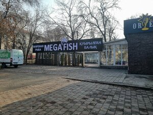 Megafish (Almaty, Abay Avenue, 30А), cafe
