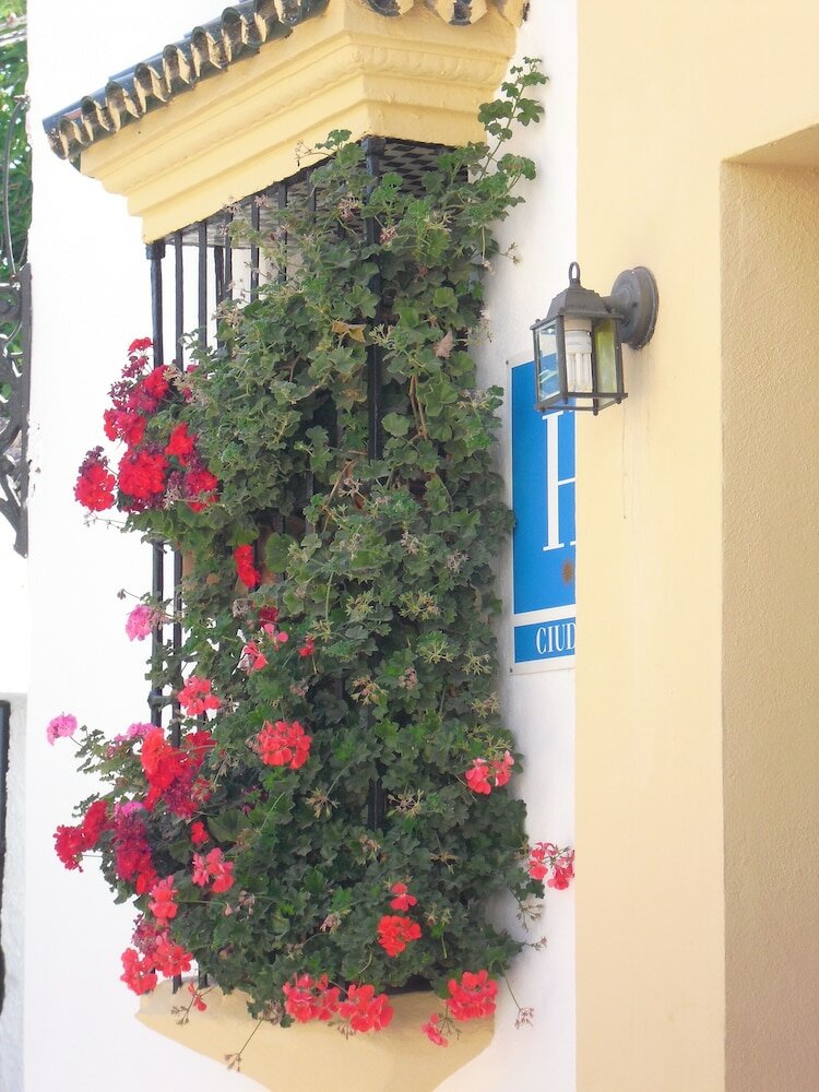 Фото Hotel Ronda