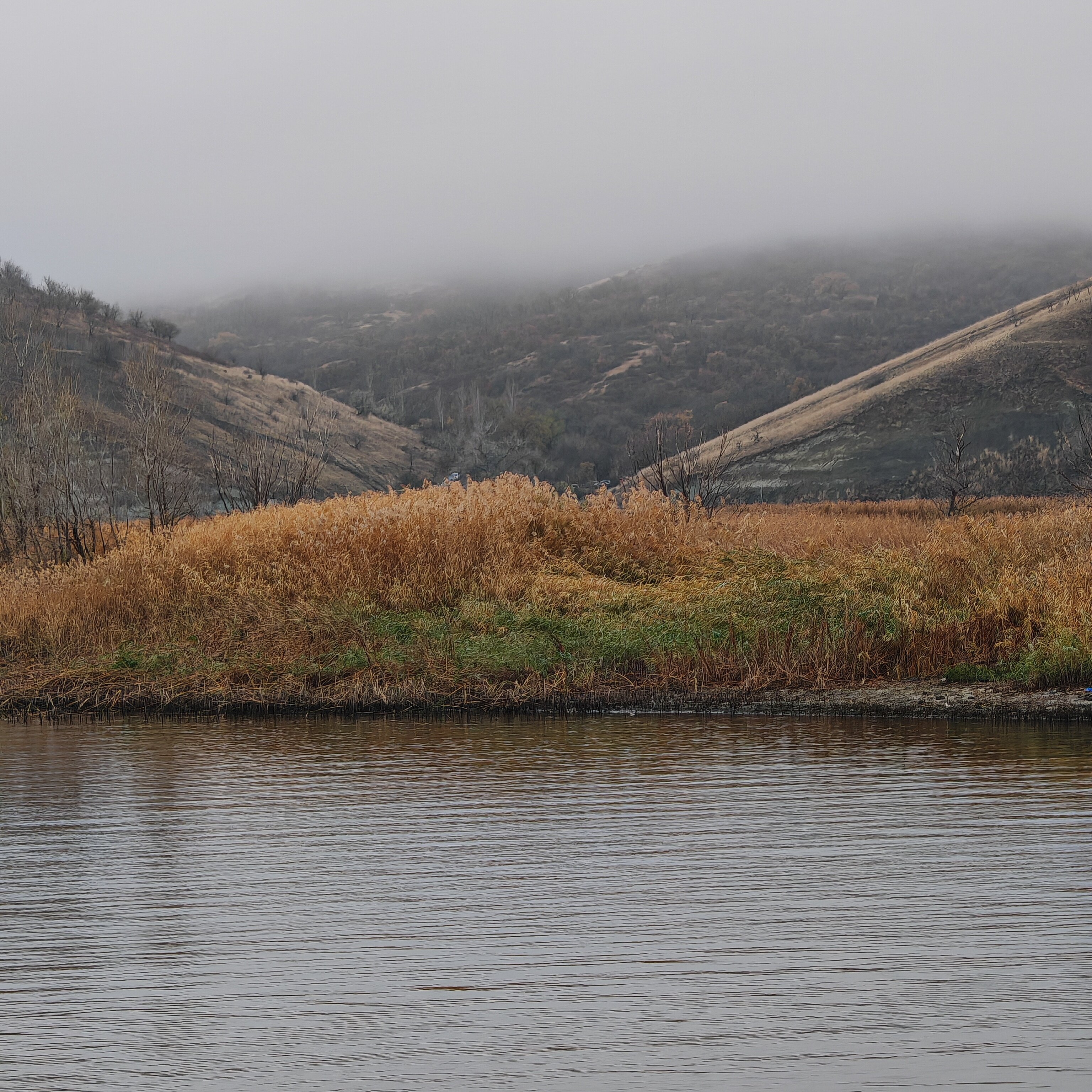 Фото Адмиралъ