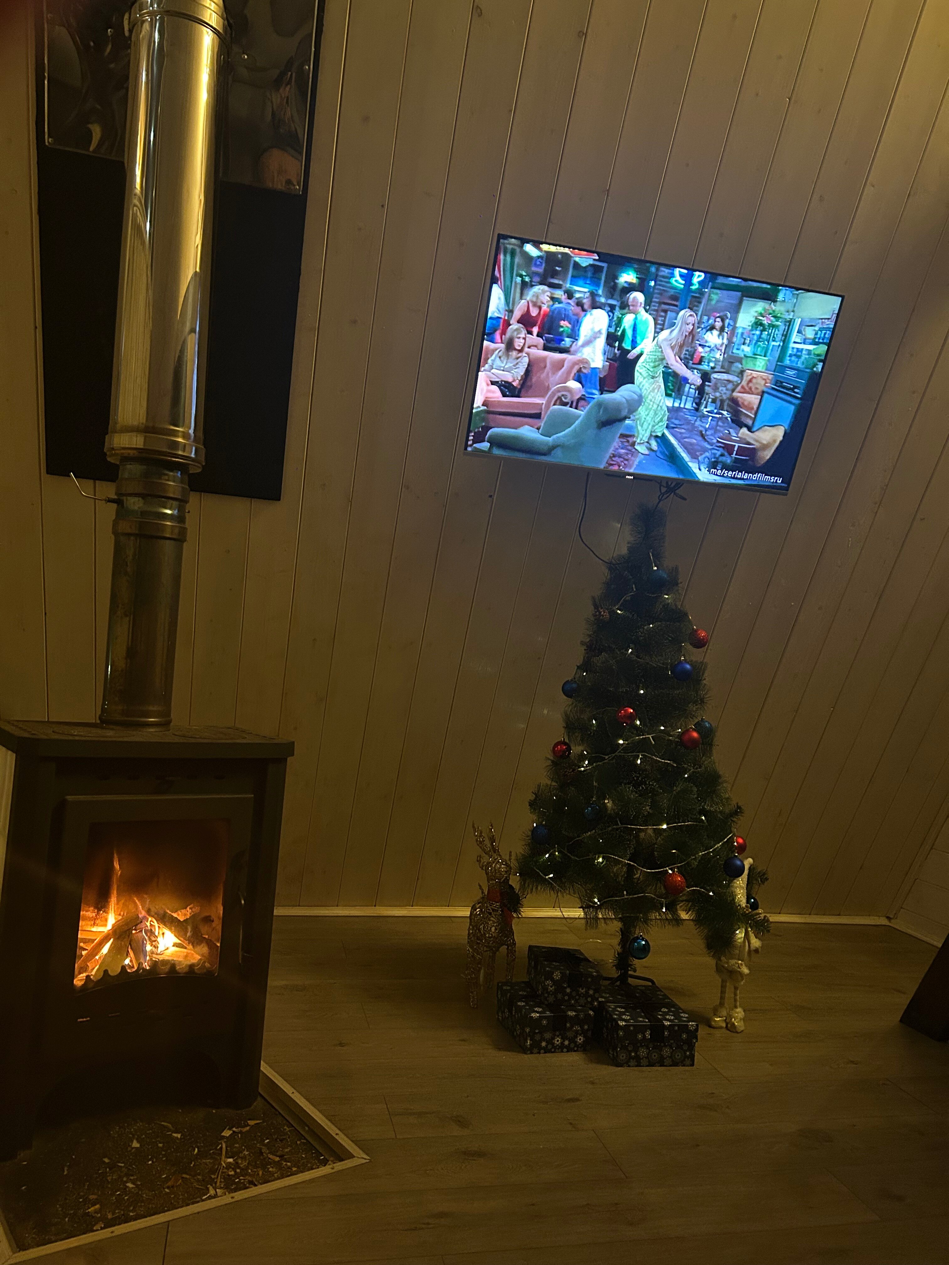 Фото Forest life