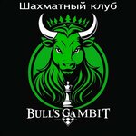 Bull's gambit (Stasova Street, 182/1), chess club