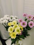 Цветы24 (Golubinskaya Street, 5к1) ، محل زهور