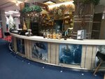 Lobby bar (Engelsa Street, 45), bar, pub
