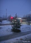 Виктория (ulitsa Grunina, 21), grocery