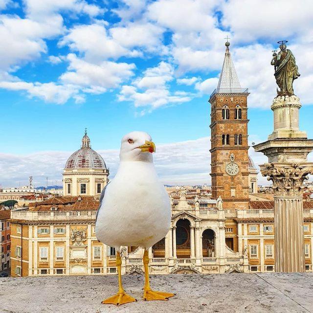 Фото Mecenate Palace