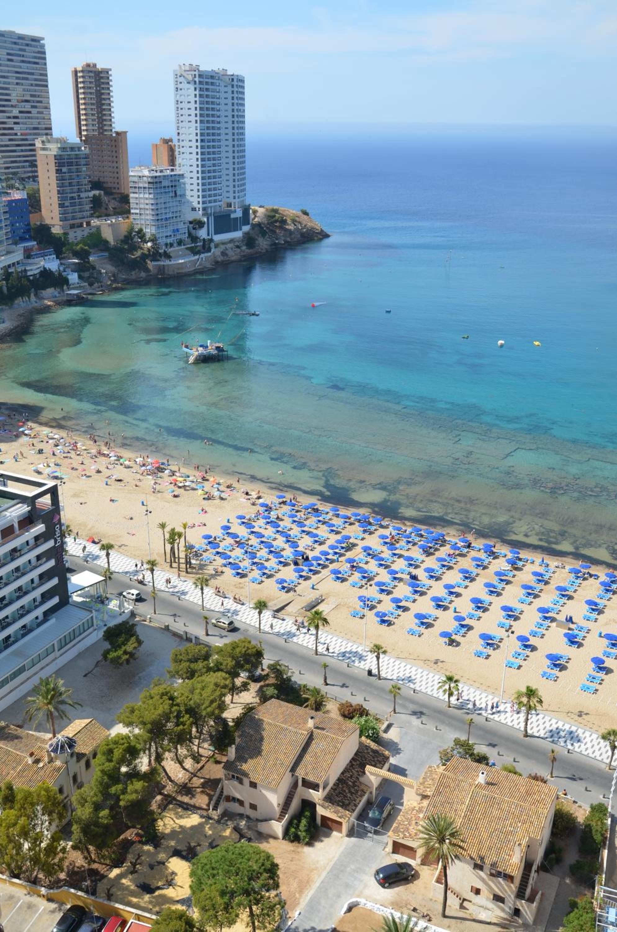 Фото Apartamentos Oasis Benidorm