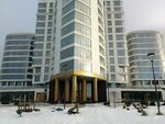 Saint-Petersburg New Energy Group (Zhdanovskaya Street, 45), organización de proyectos