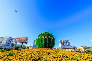 Гостиница Hotel California Zhangjiajie