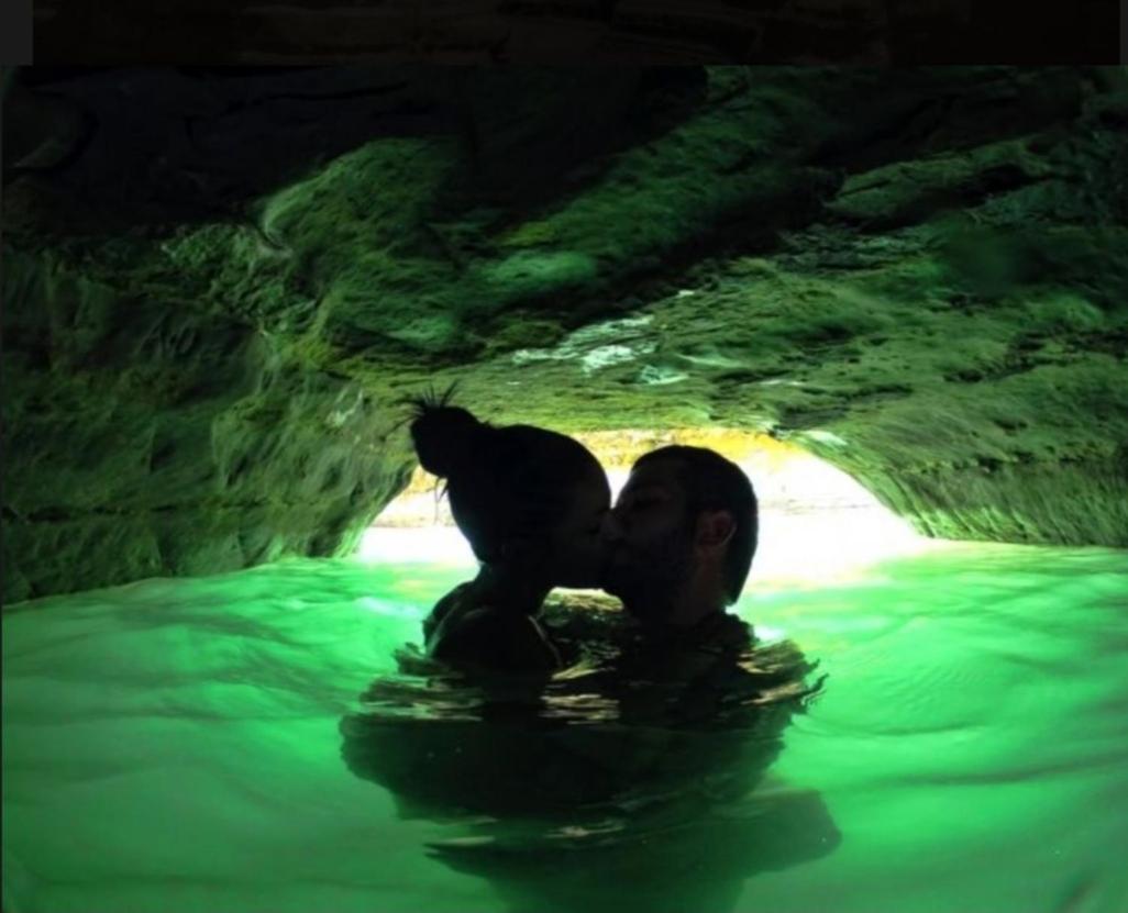 Фото Olive Grove Hotel