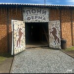 Пони ферма Бочаровых (Irkutsk Region, Slyudyanskiy rayon, Bystrinskoye munitsipalnoye obrazovaniye), intensive animal farming