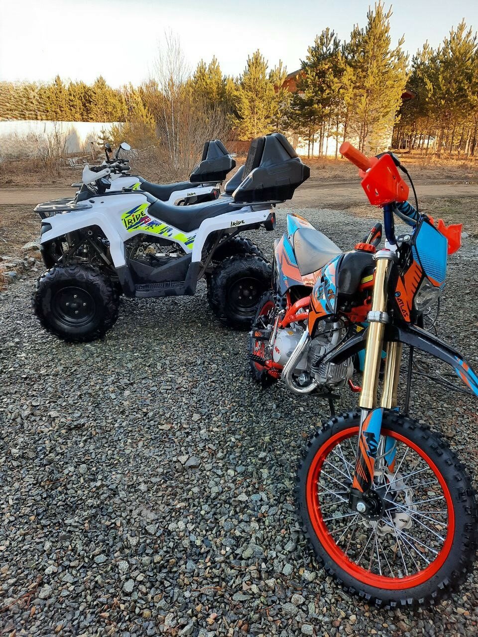 Фото Свобода леса