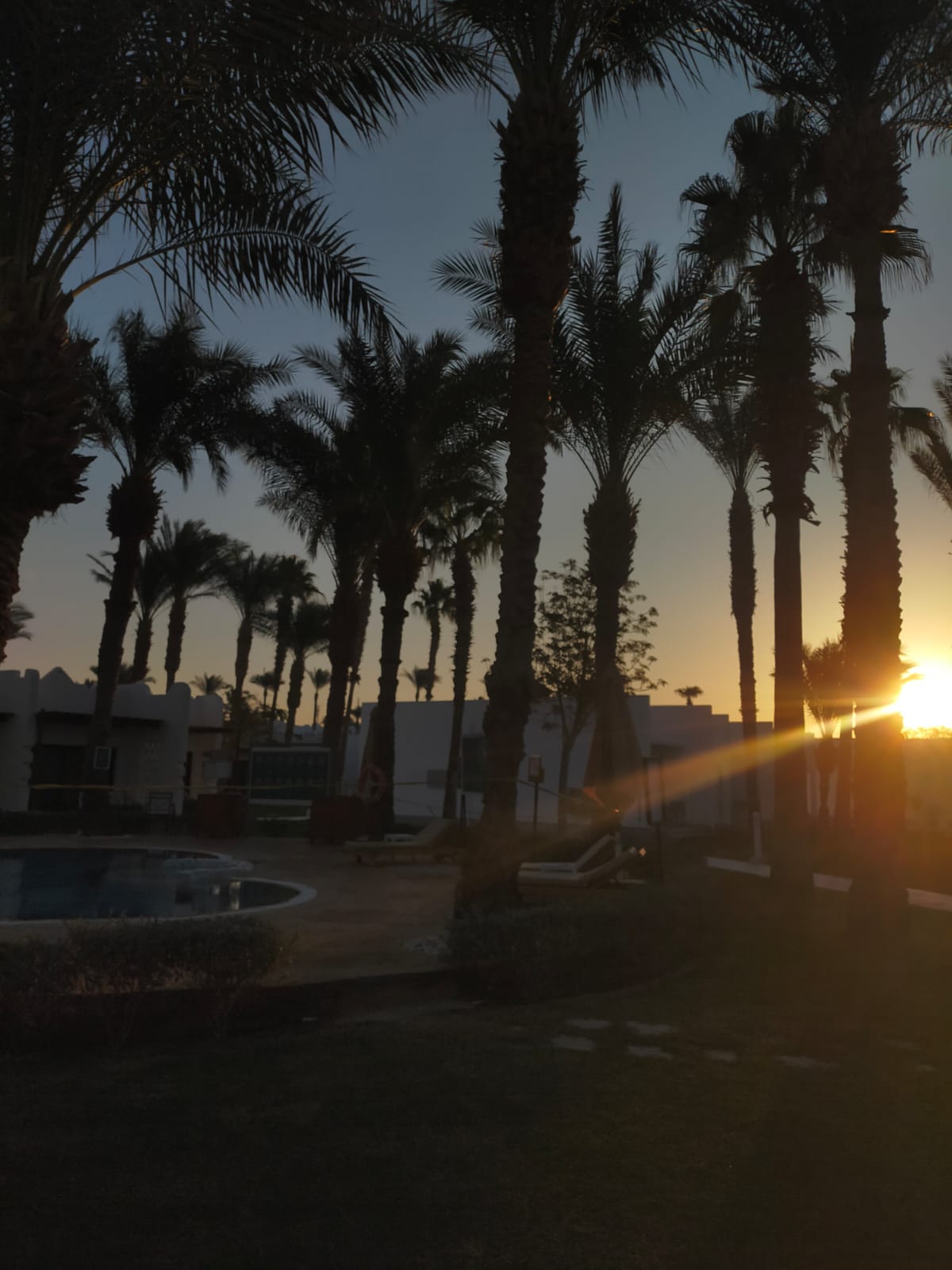 Фото Jaz Fayrouz