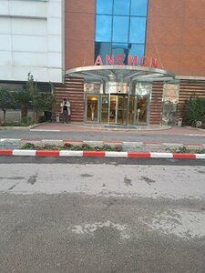 Гостиница Анемон Сигли Отель