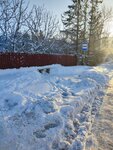 Келози-2 (Leningrad Region, Lomonosovskiy District, Kipenskoye selskoye poseleniye, derevnya Kelozi, Parkovaya ulitsa) ، توقف وسائل النقل العام