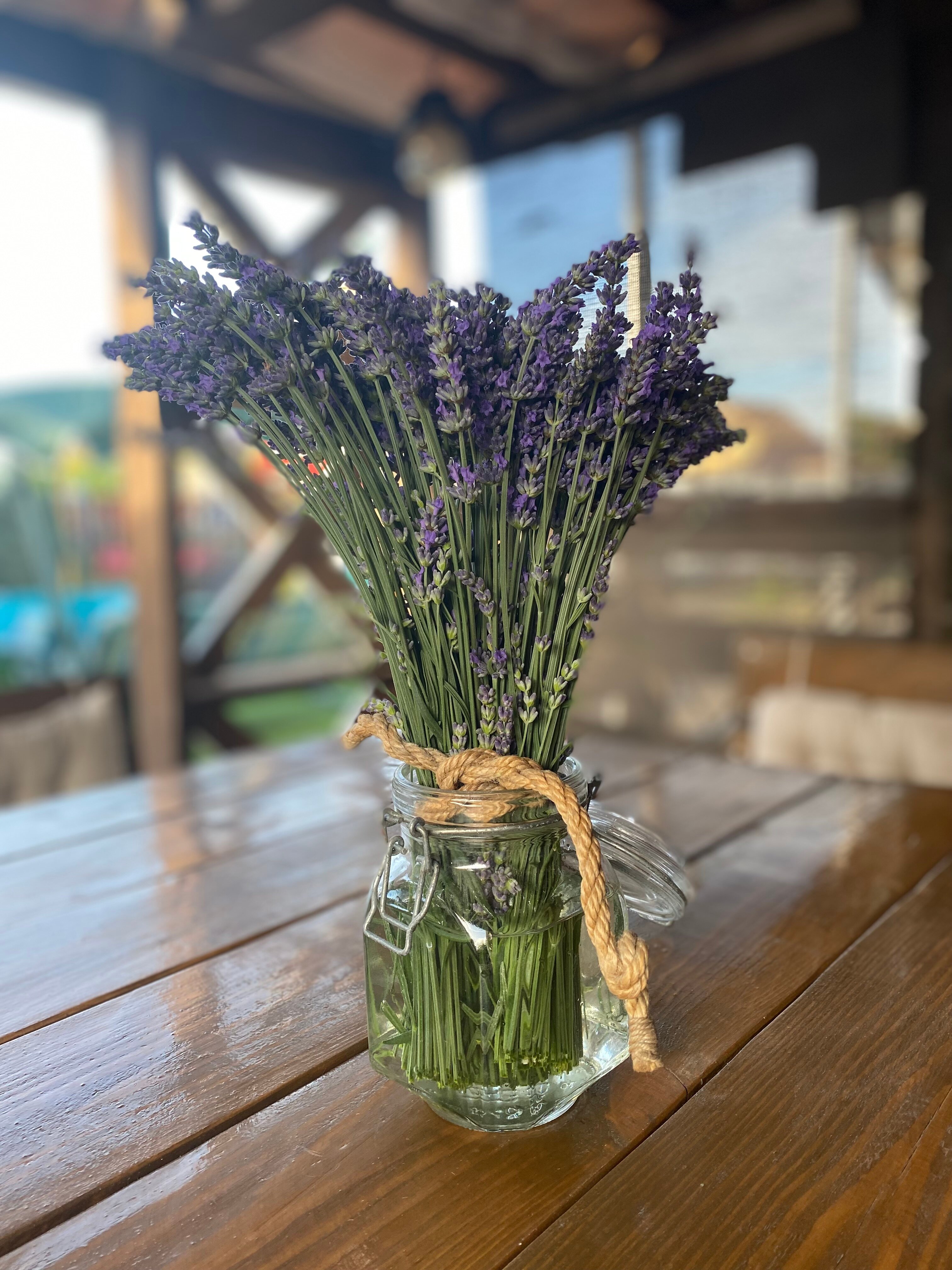 Фото Деревенька