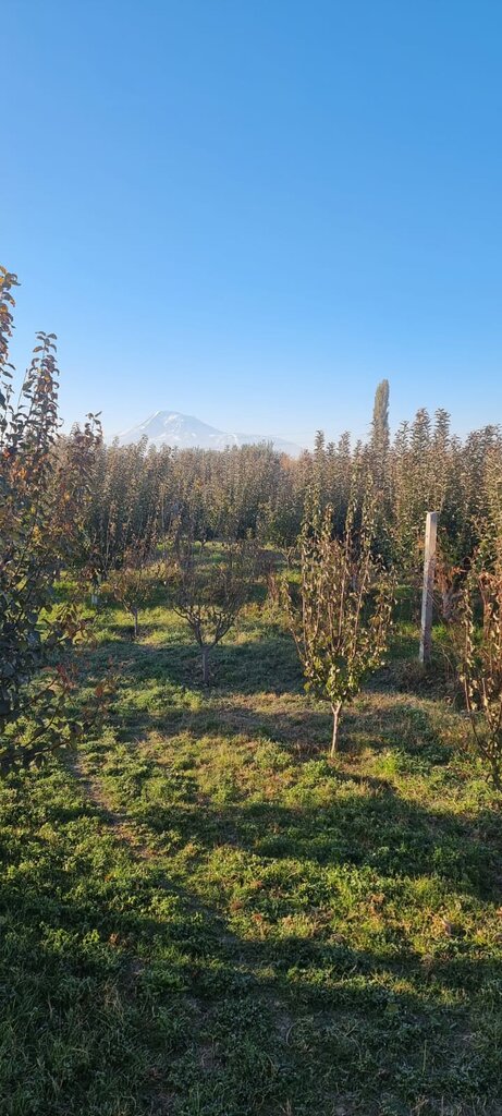 Hotel Arm Garden Evn Zvartnots, Armavir, photo