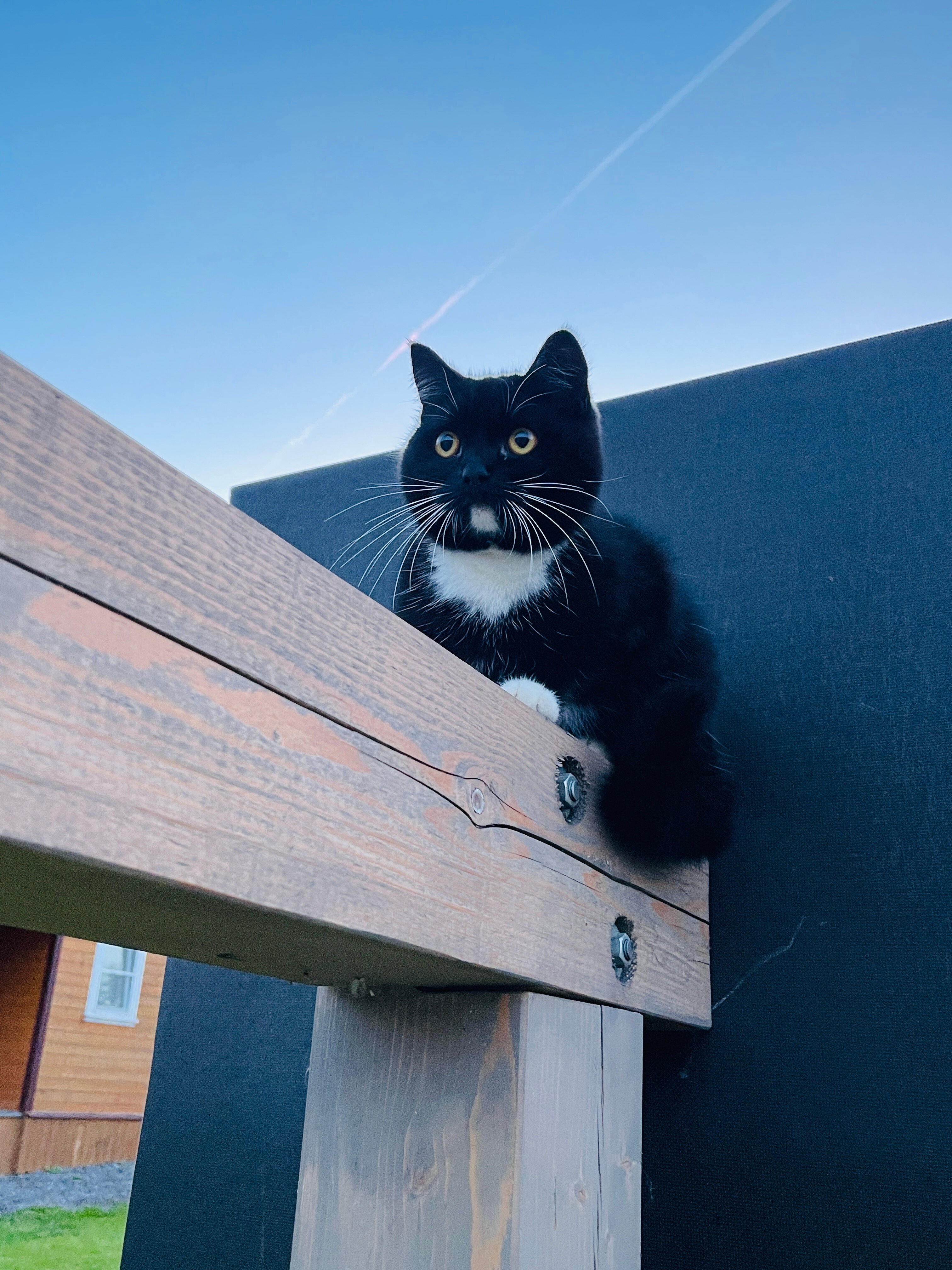 Фото Уютные дома в Карелии