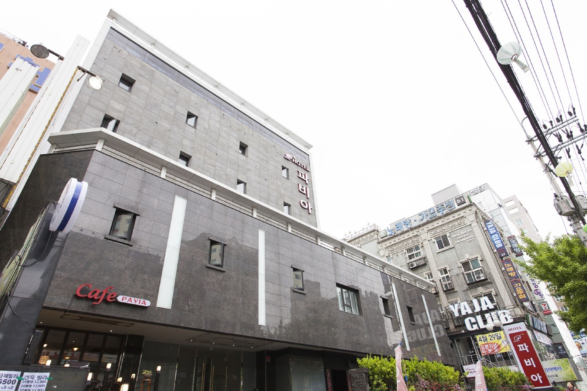 Фото Hotel Pavia