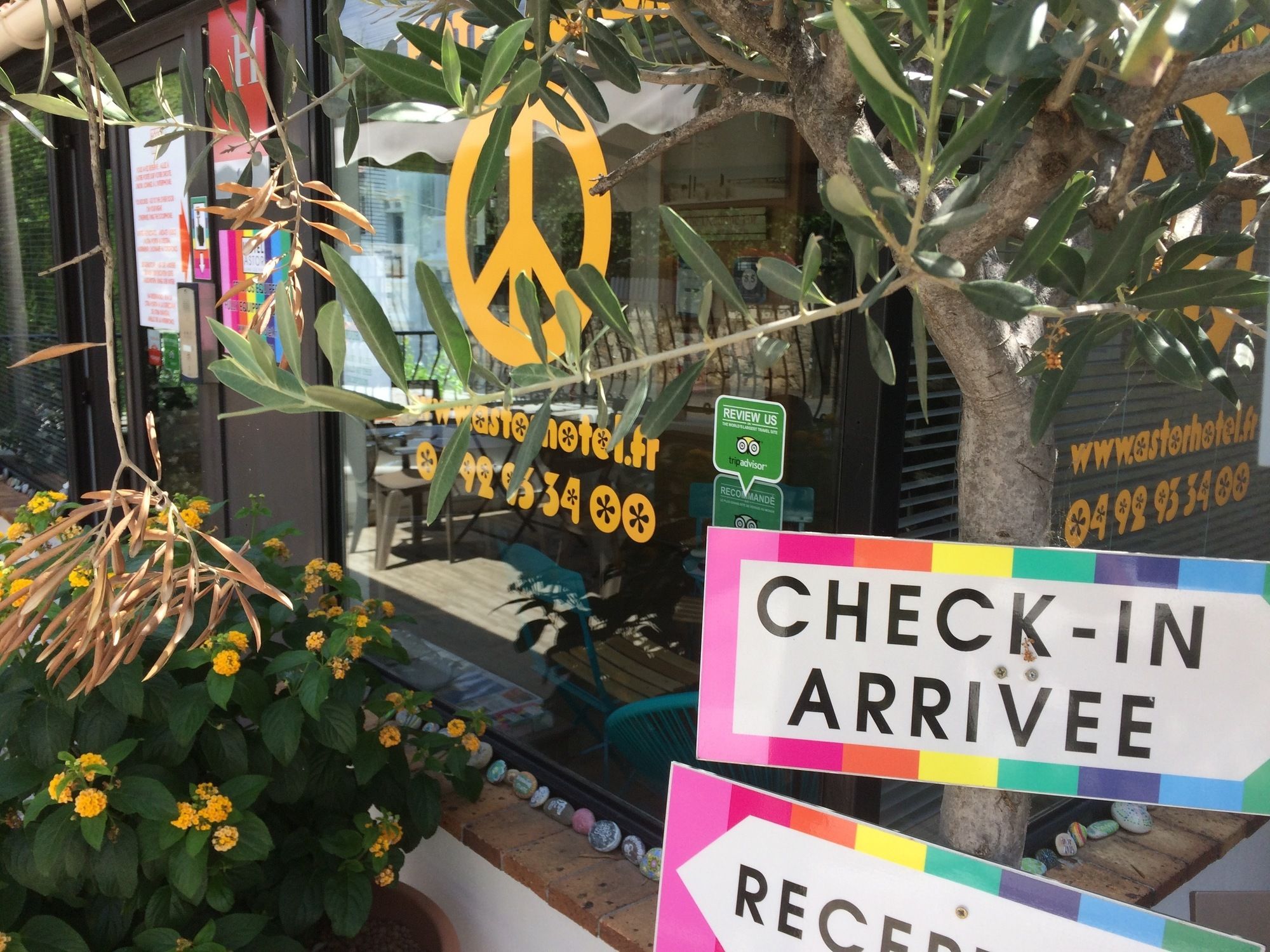 Фото Hotel & Studios Astor