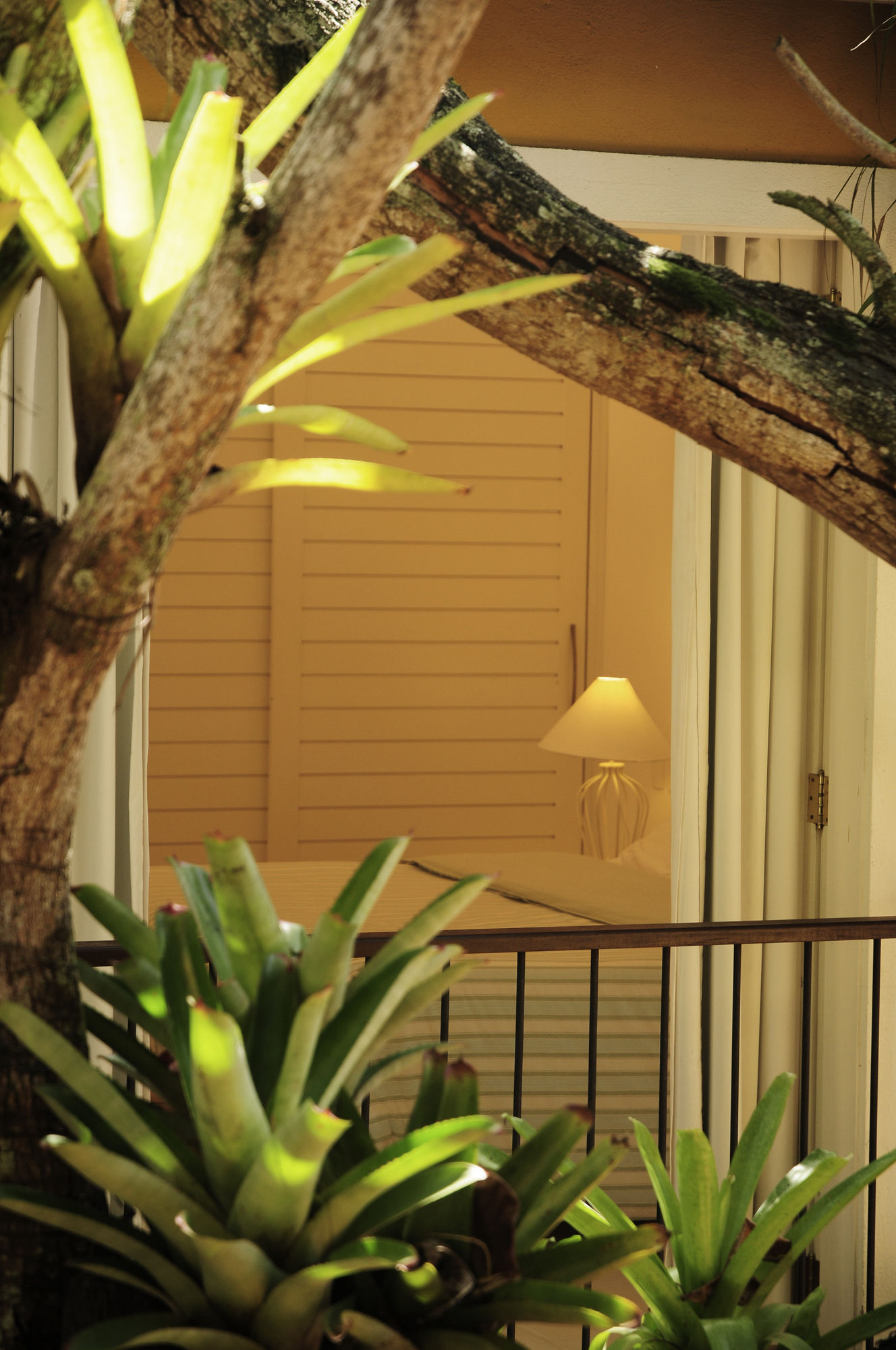 Фото La Chimere Buzios Essence