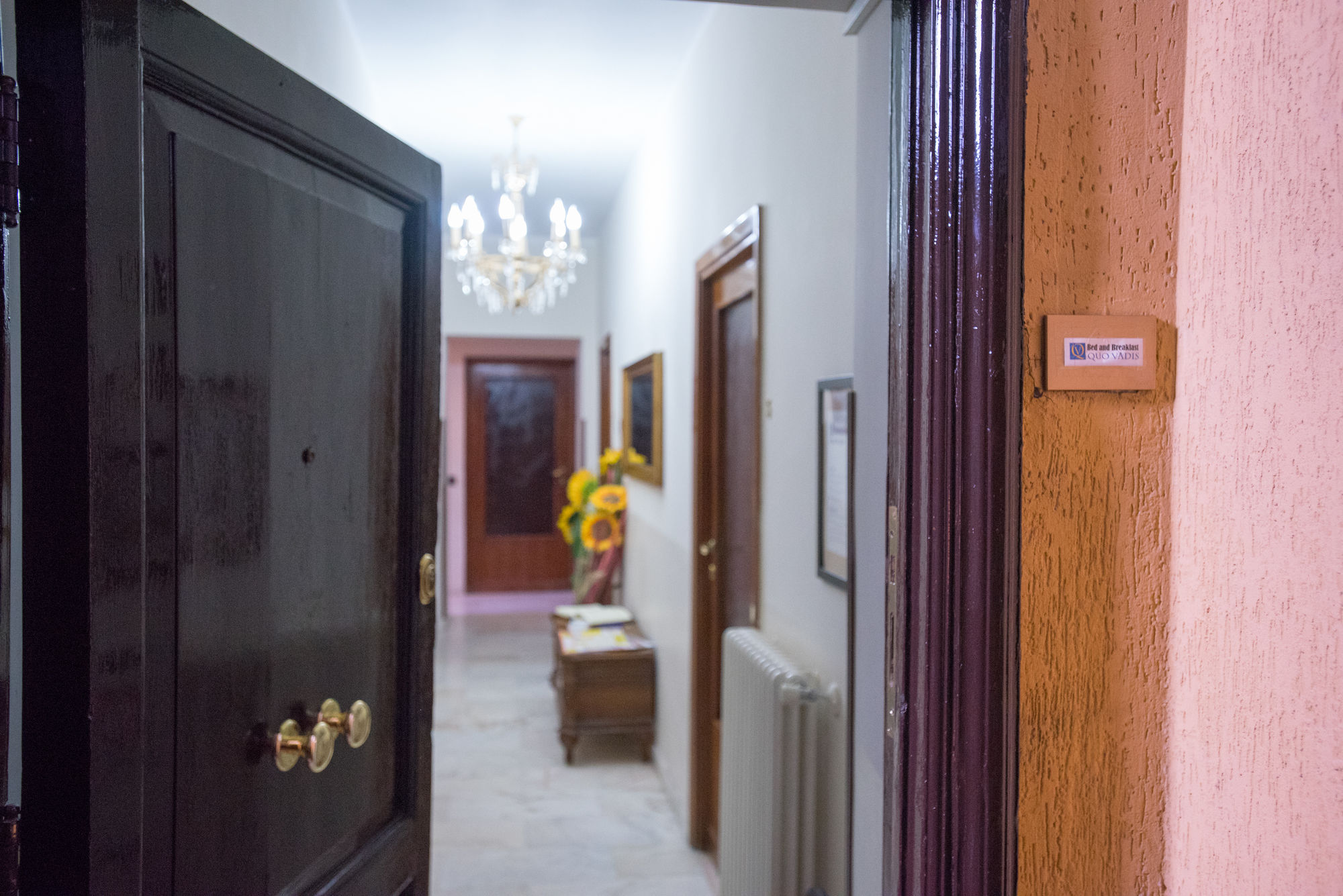 Фото Quo Vadis Bed & Breakfast