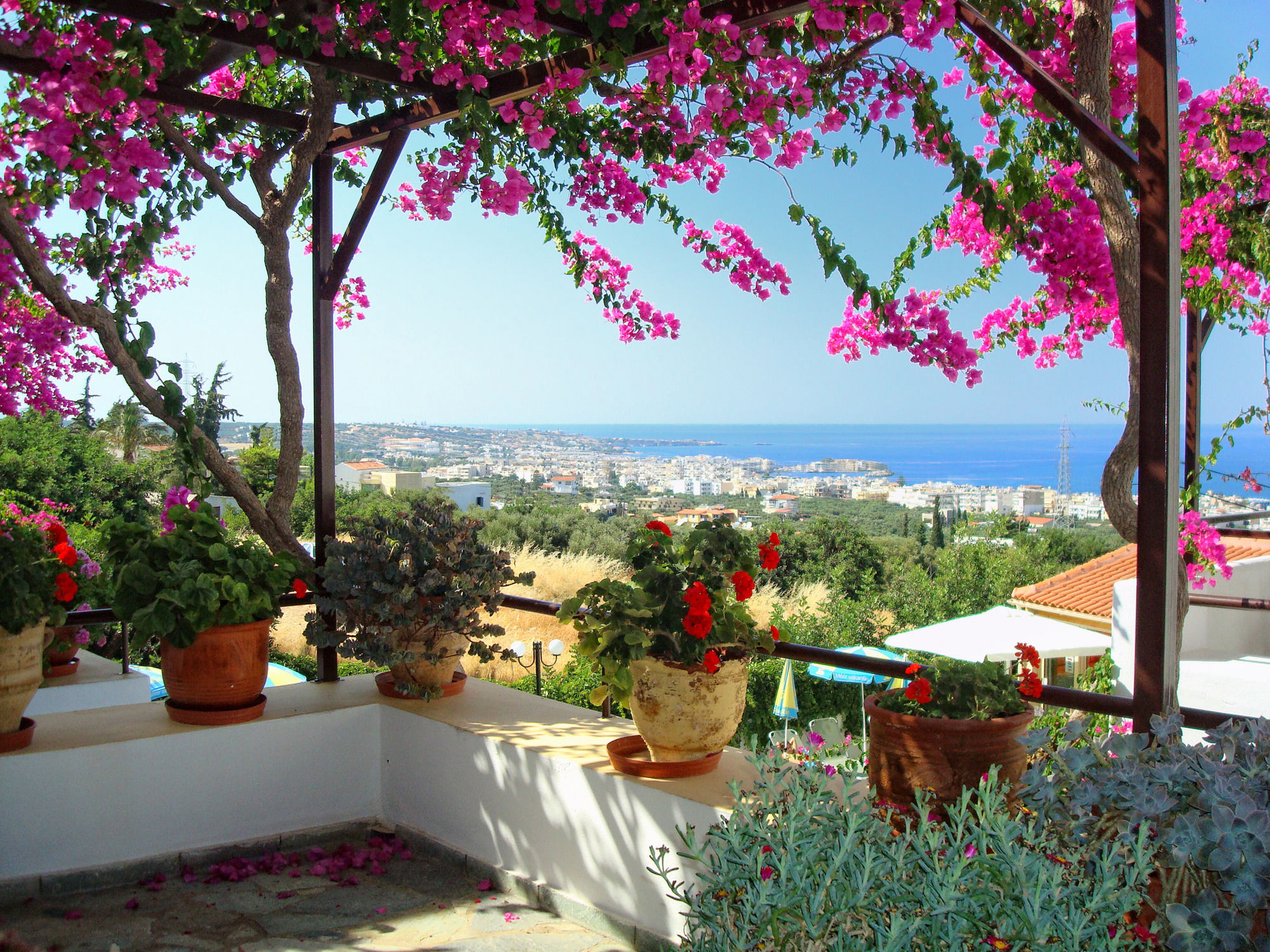 Фото Villa Diktynna