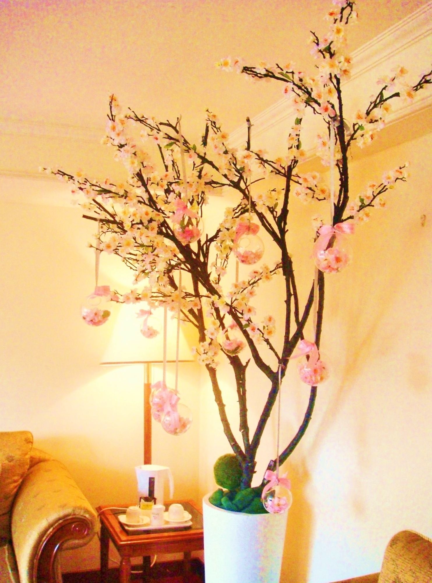 Фото Chyuan Du Spring Resort