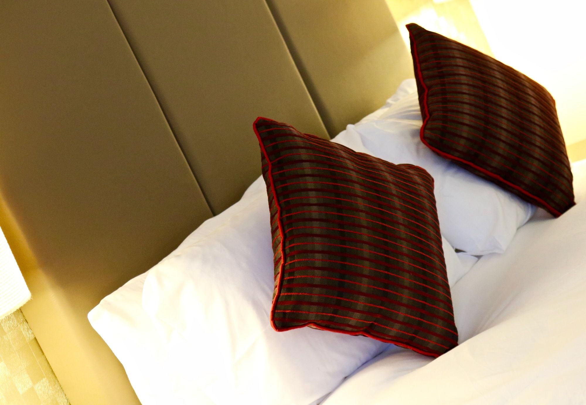 Фото Apollo Hotel