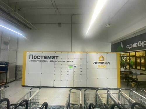 Уголовное дело возбудили после нападения с трубой на главу Красного Бора - МК Ле