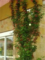 Фото Blanco River Hotel