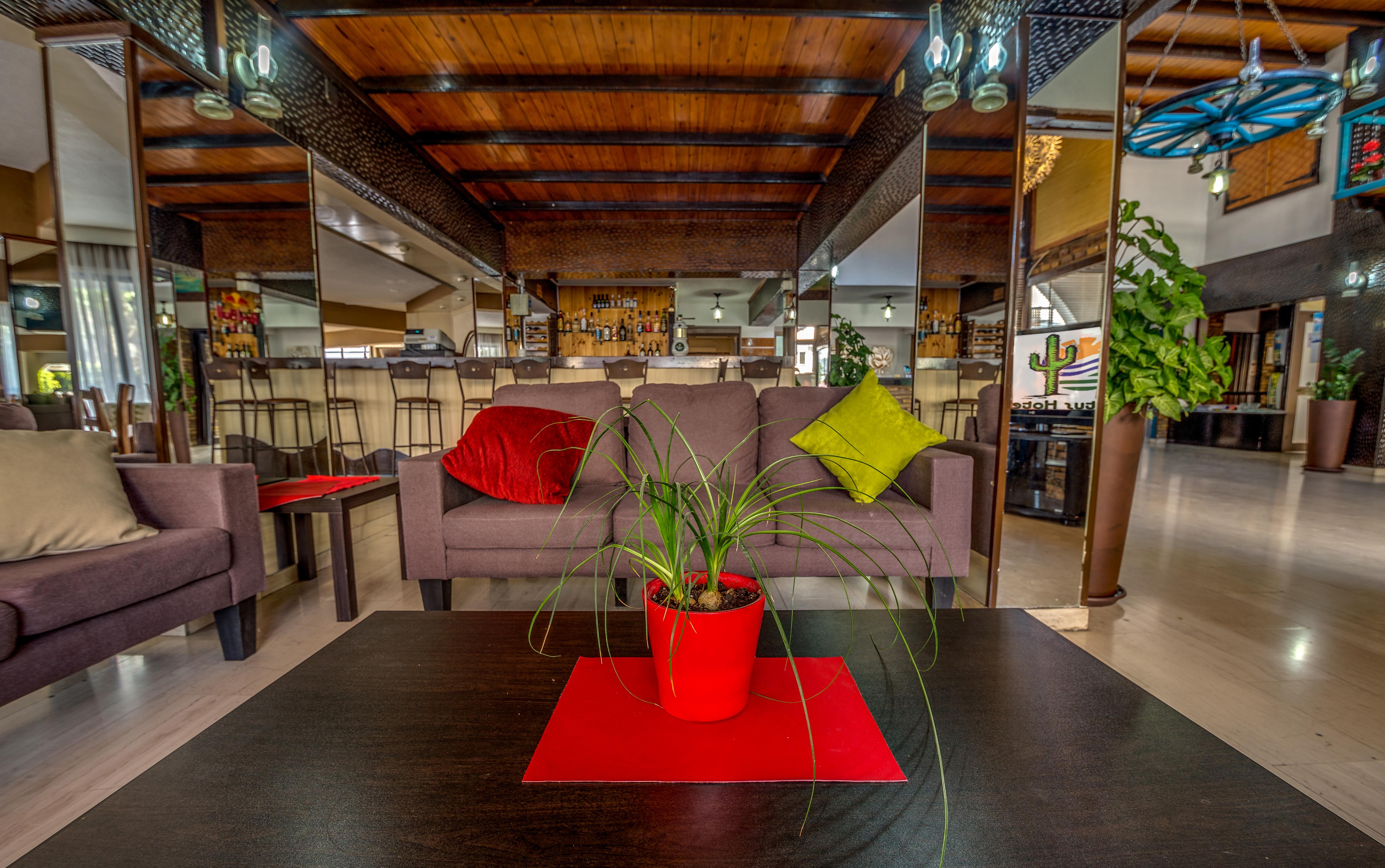 Фото Cactus Hotel