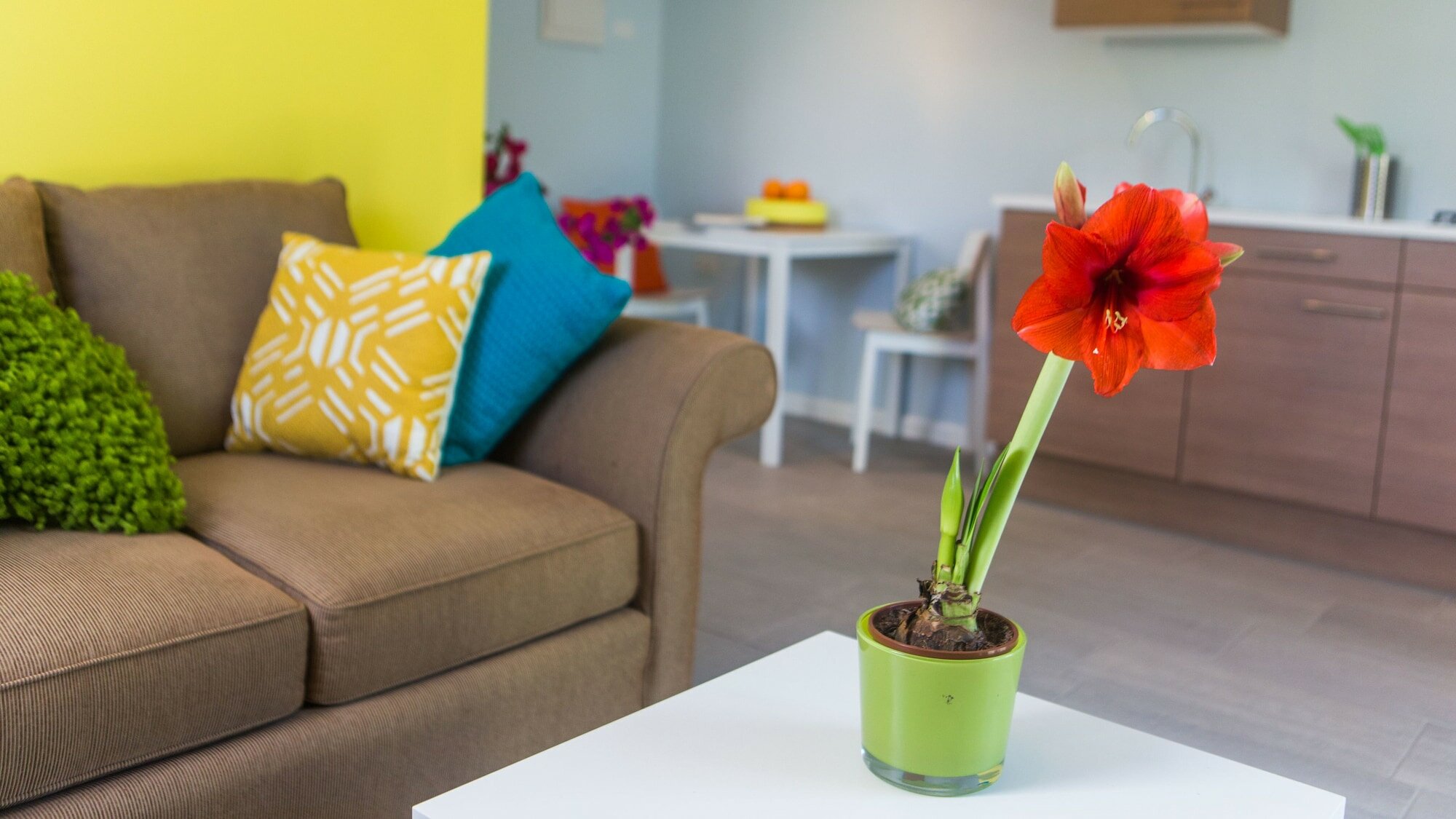 Фото Bubali Bliss Studios