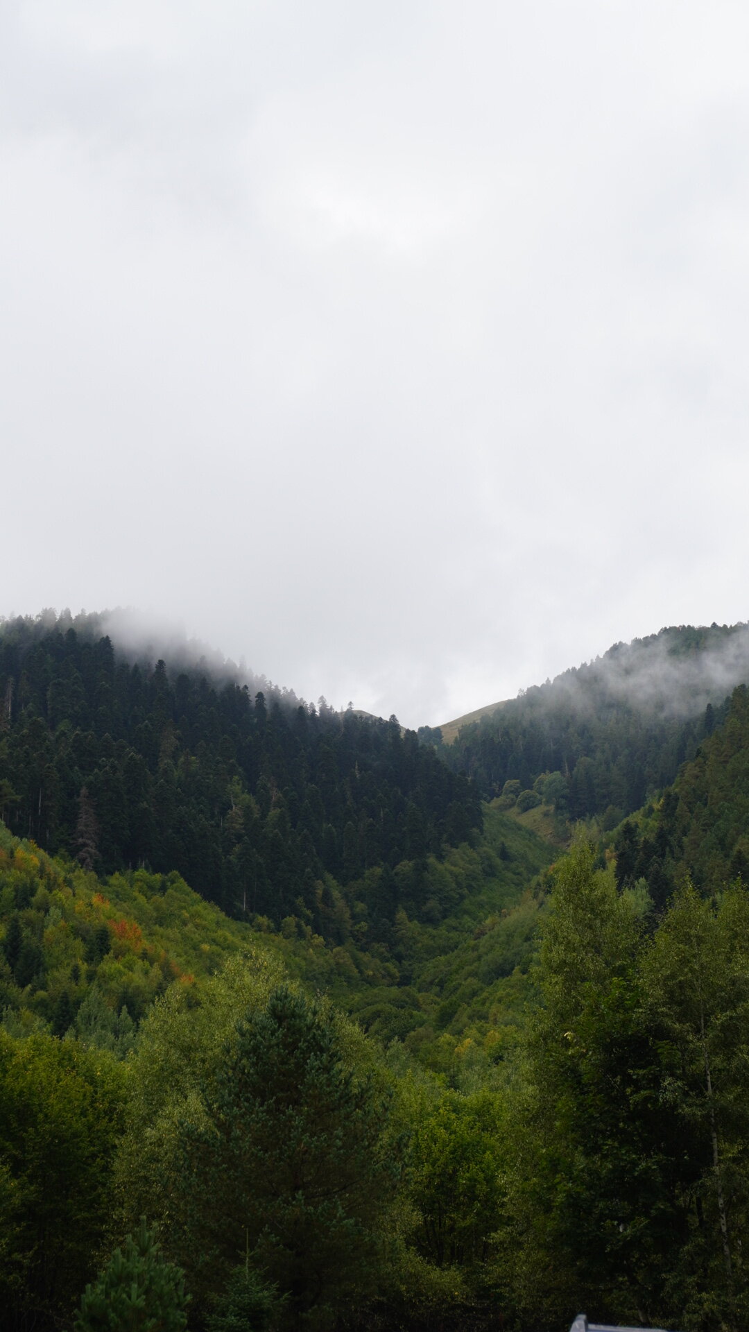 Фото Золото Архыза