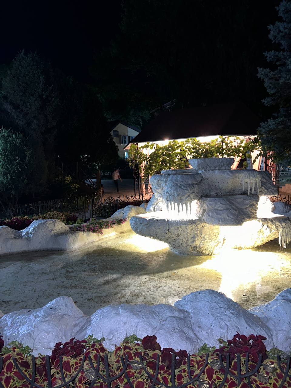 Фото Лесная поляна