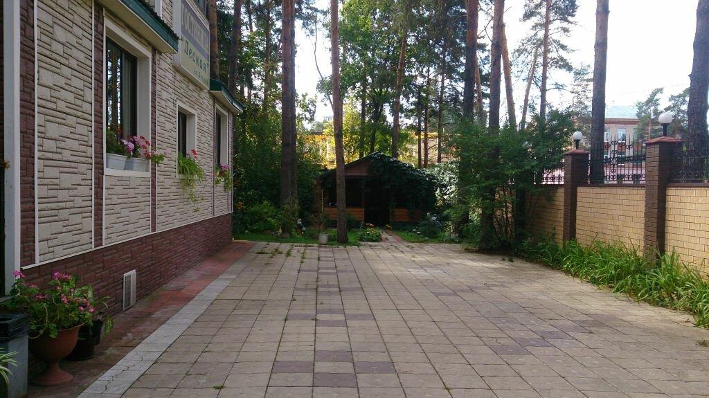 Фото Лесная