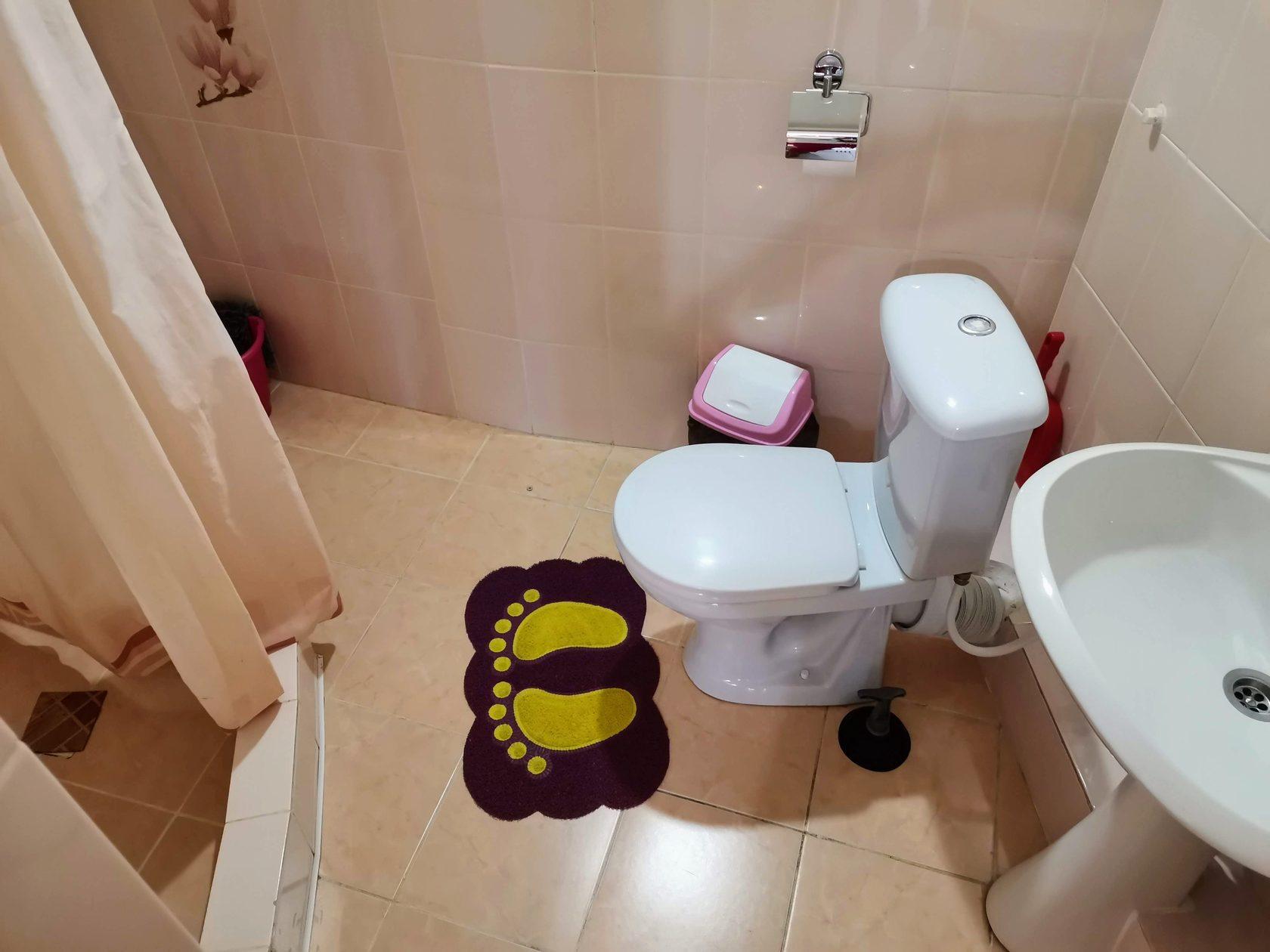 Фото Ракушка