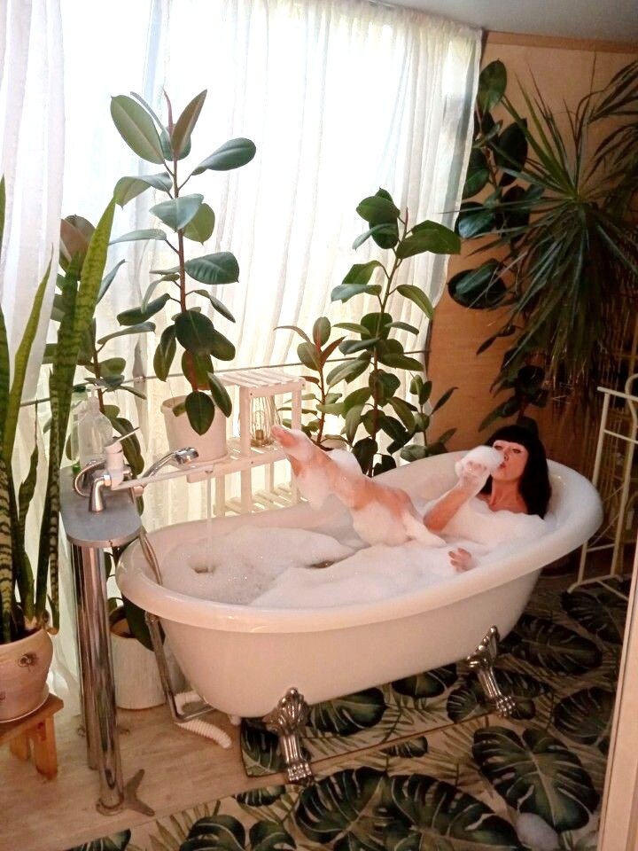 Фото Лисапедово