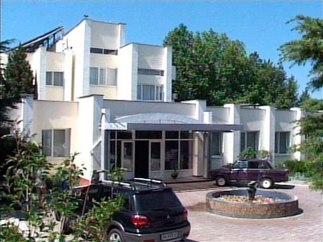 Фото Альбатрос