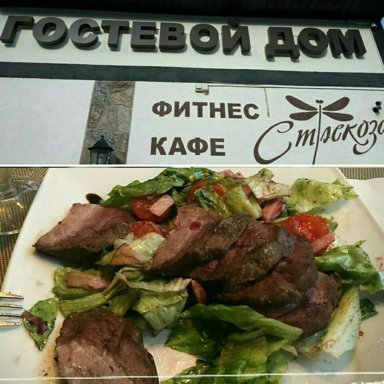 Фото Стрекоза