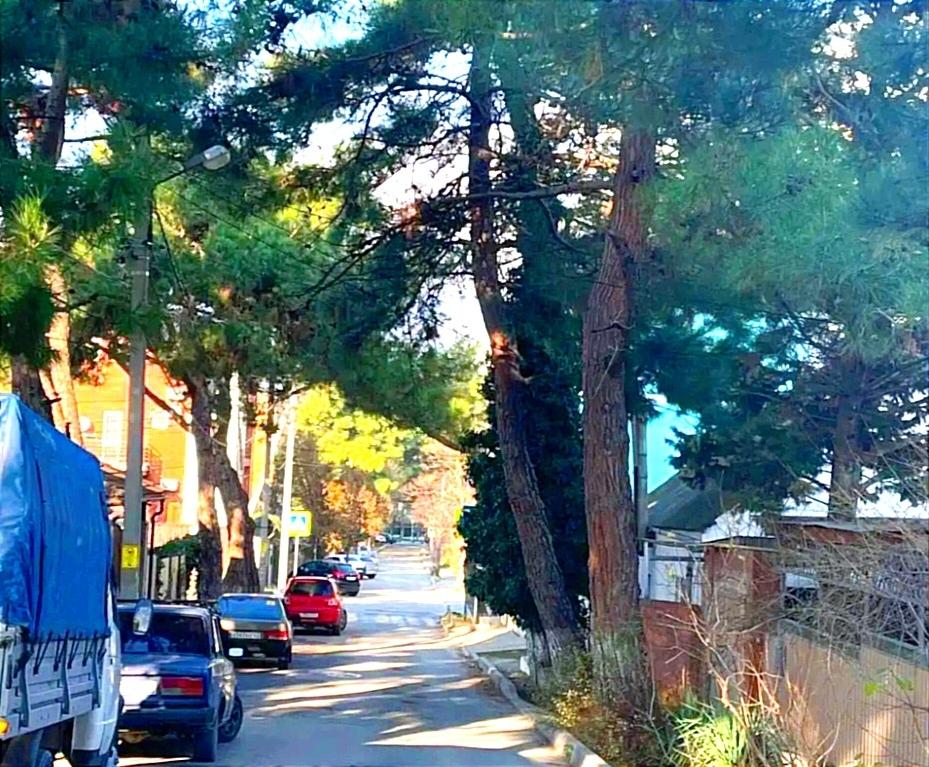 Фото Атмосфера