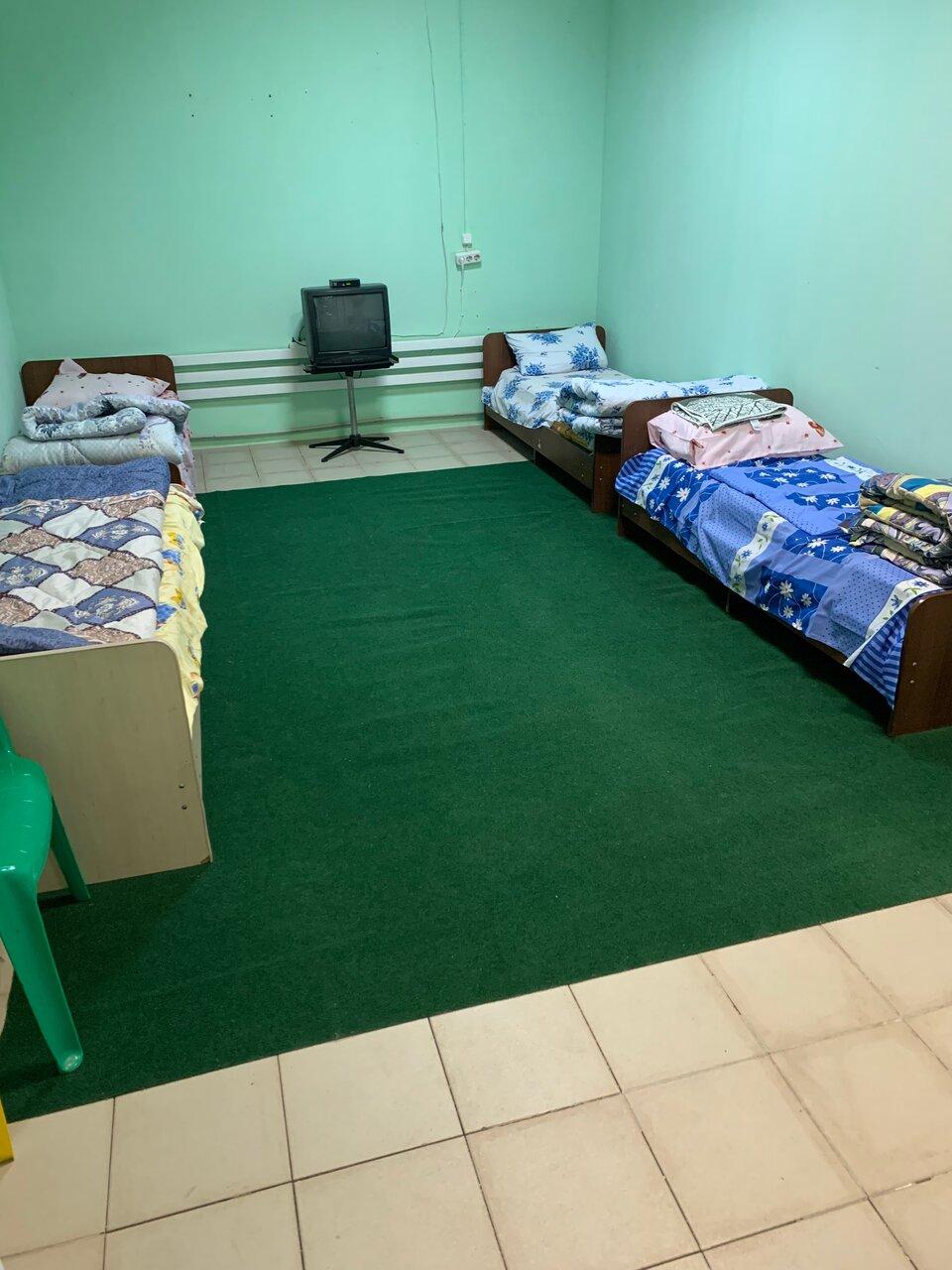 Фото Стебли