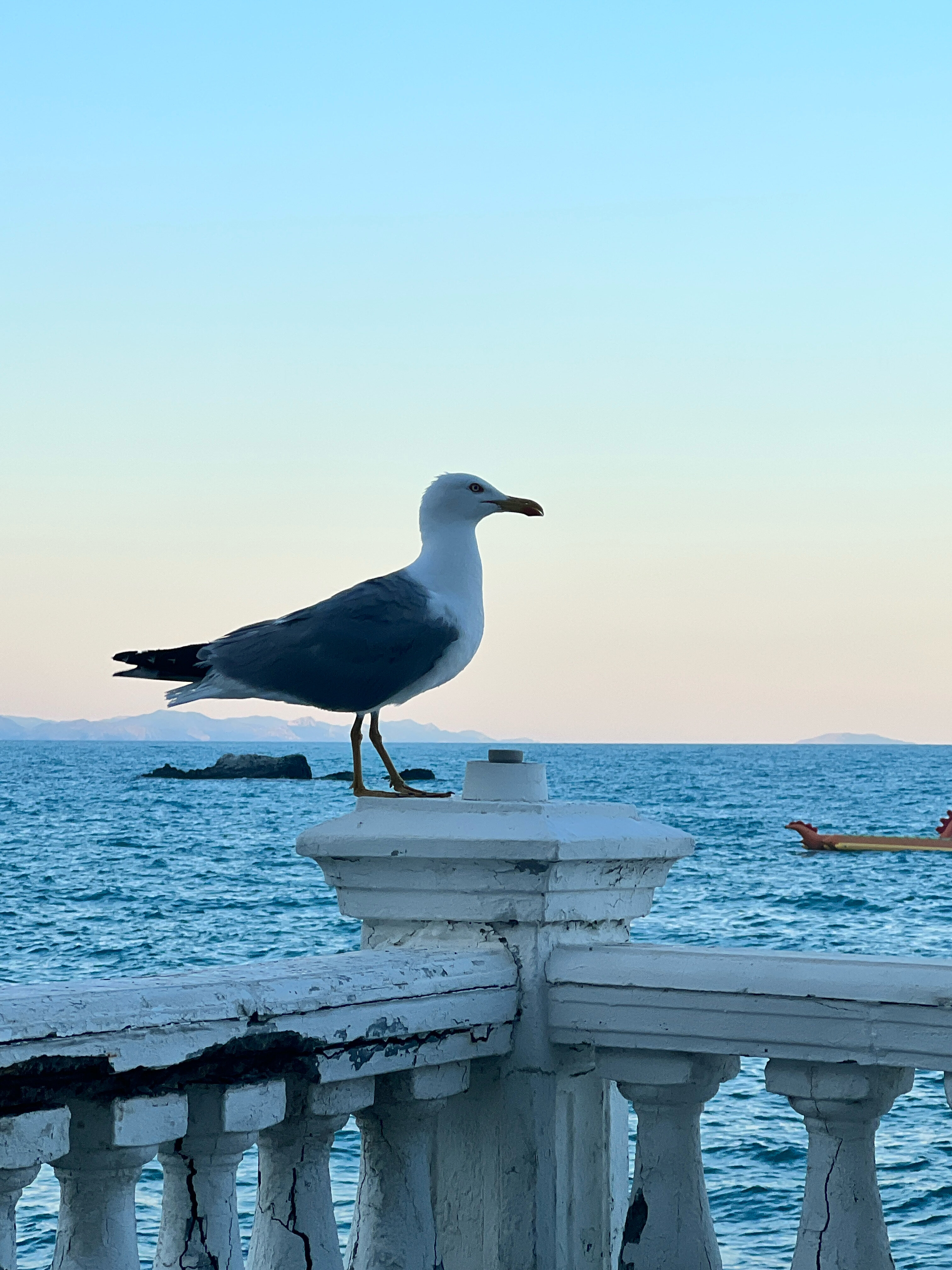 Фото Дольче-маре