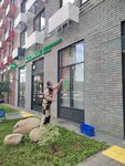 CleanOUT (Zelenograd, к1121) ، خدمات التنظيف