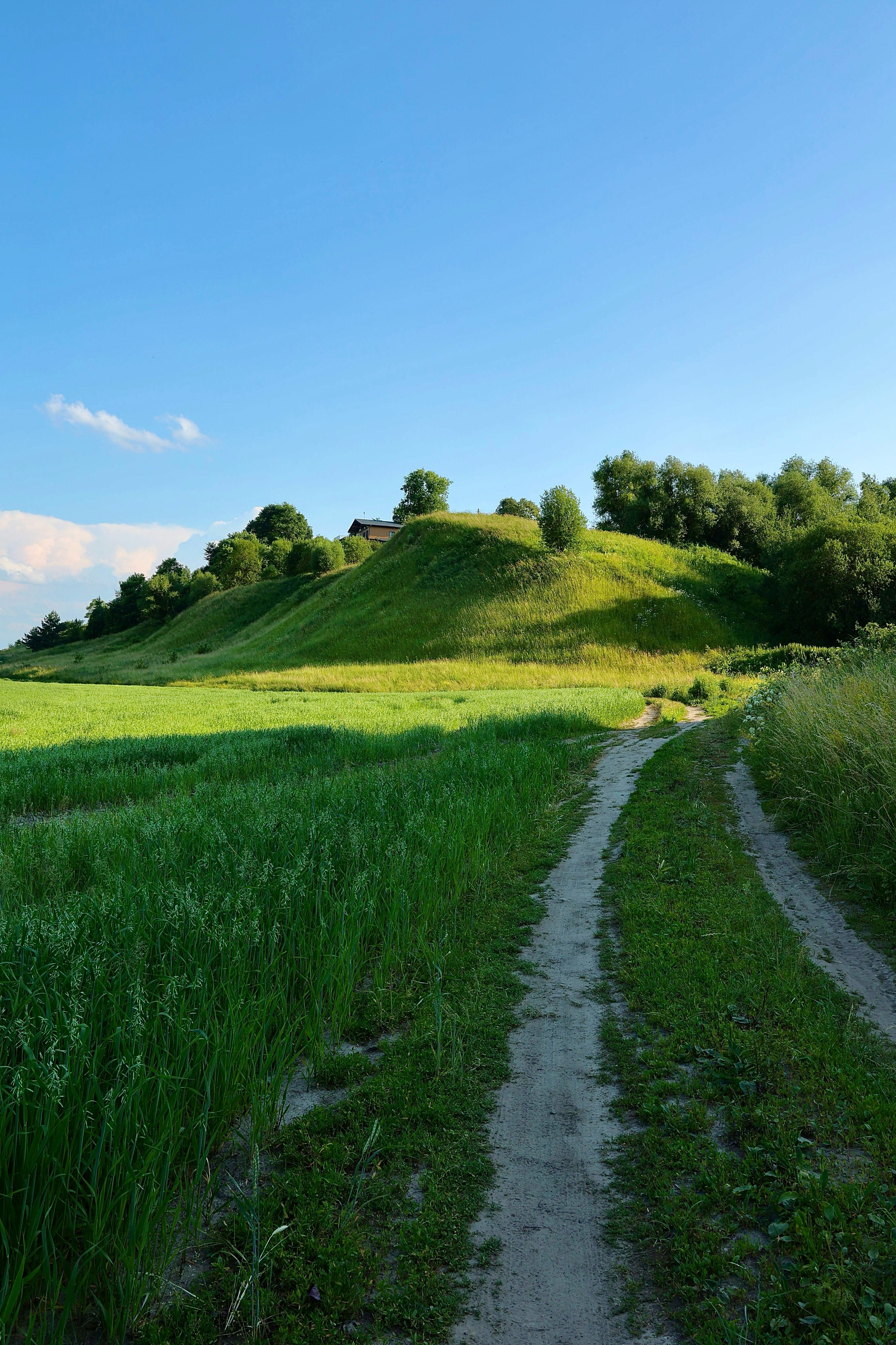 Фото ДомСорок
