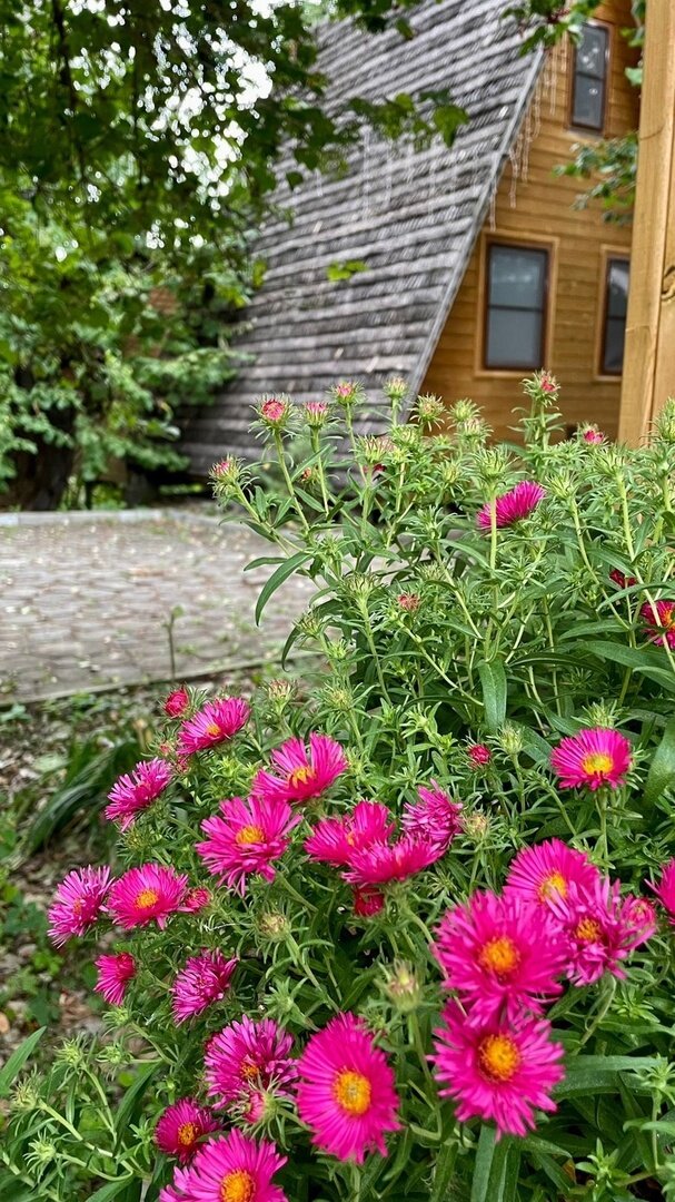 Фото Теремки у реки по дороге на Архыз