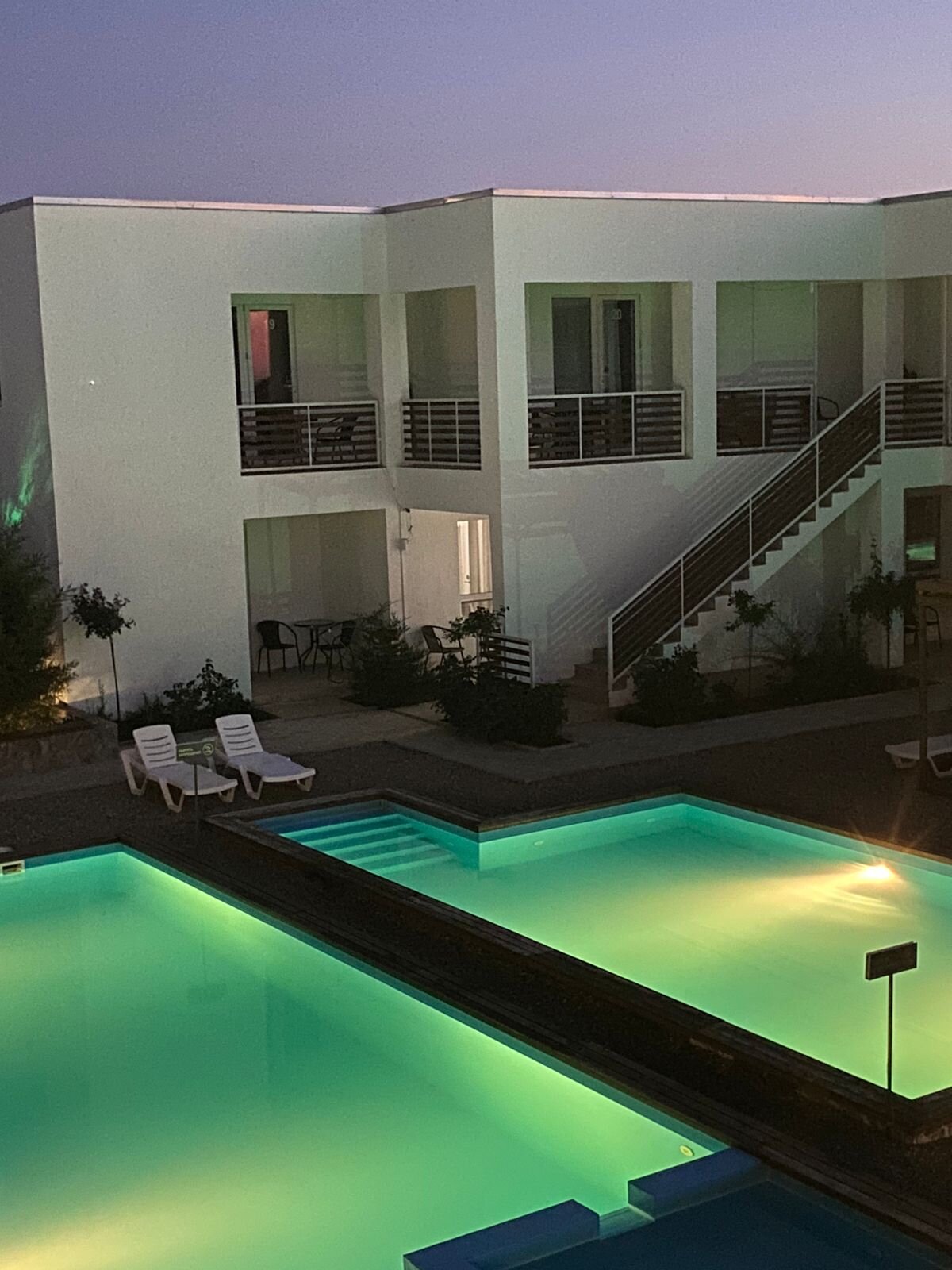 Фото Гранд Камелия