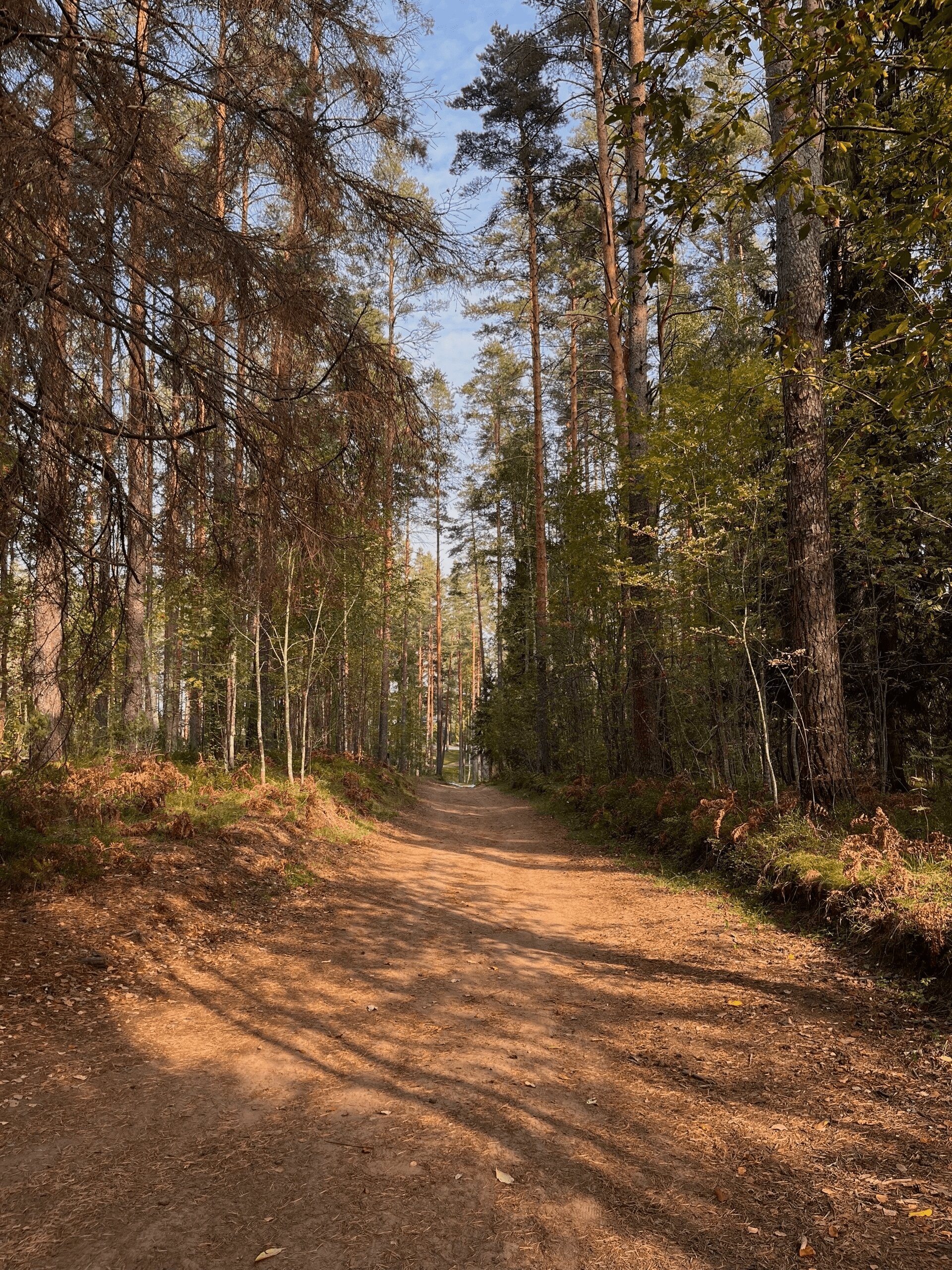 Фото Лайфклаб