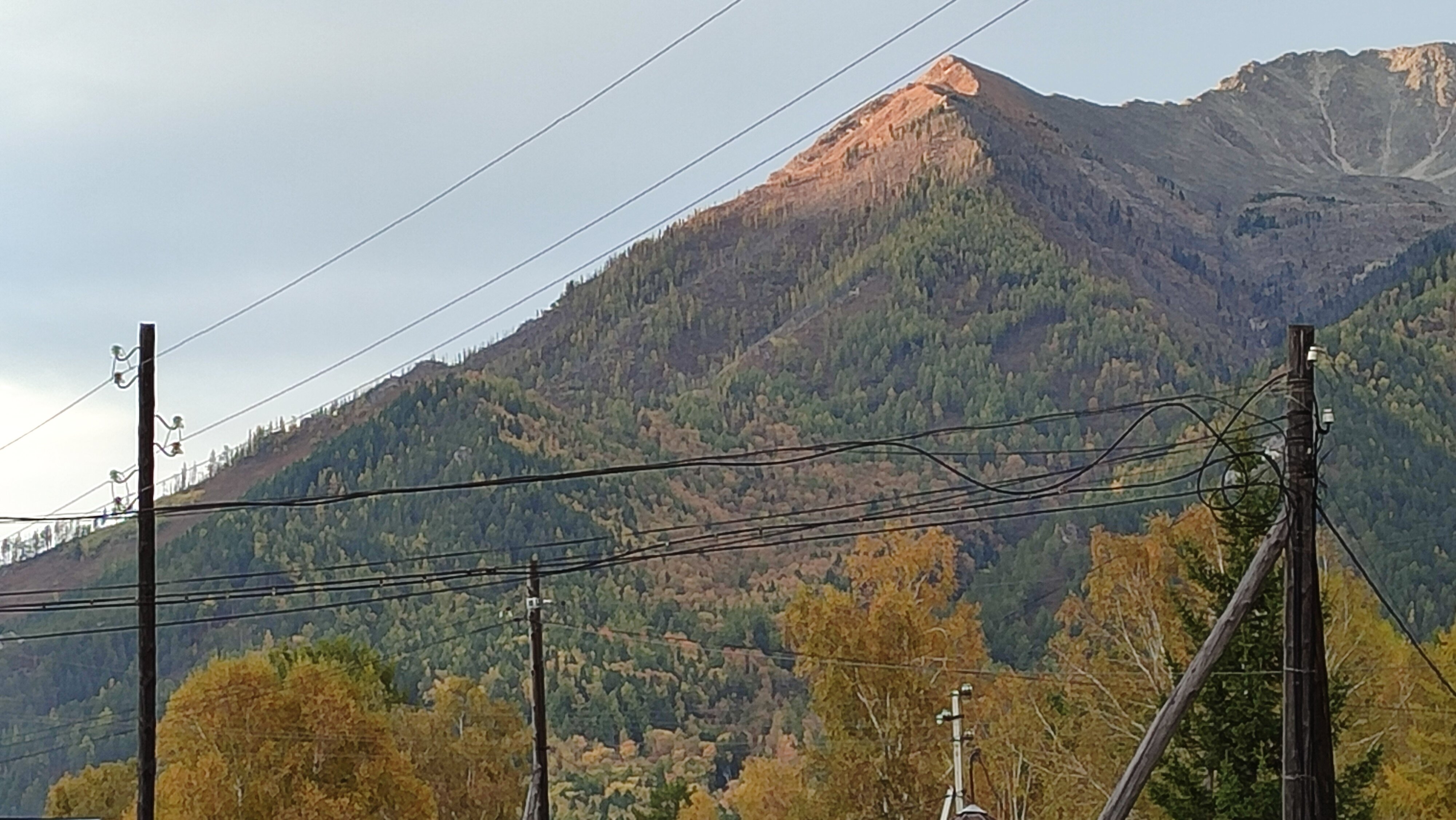Фото Семейное поместье Солнечное