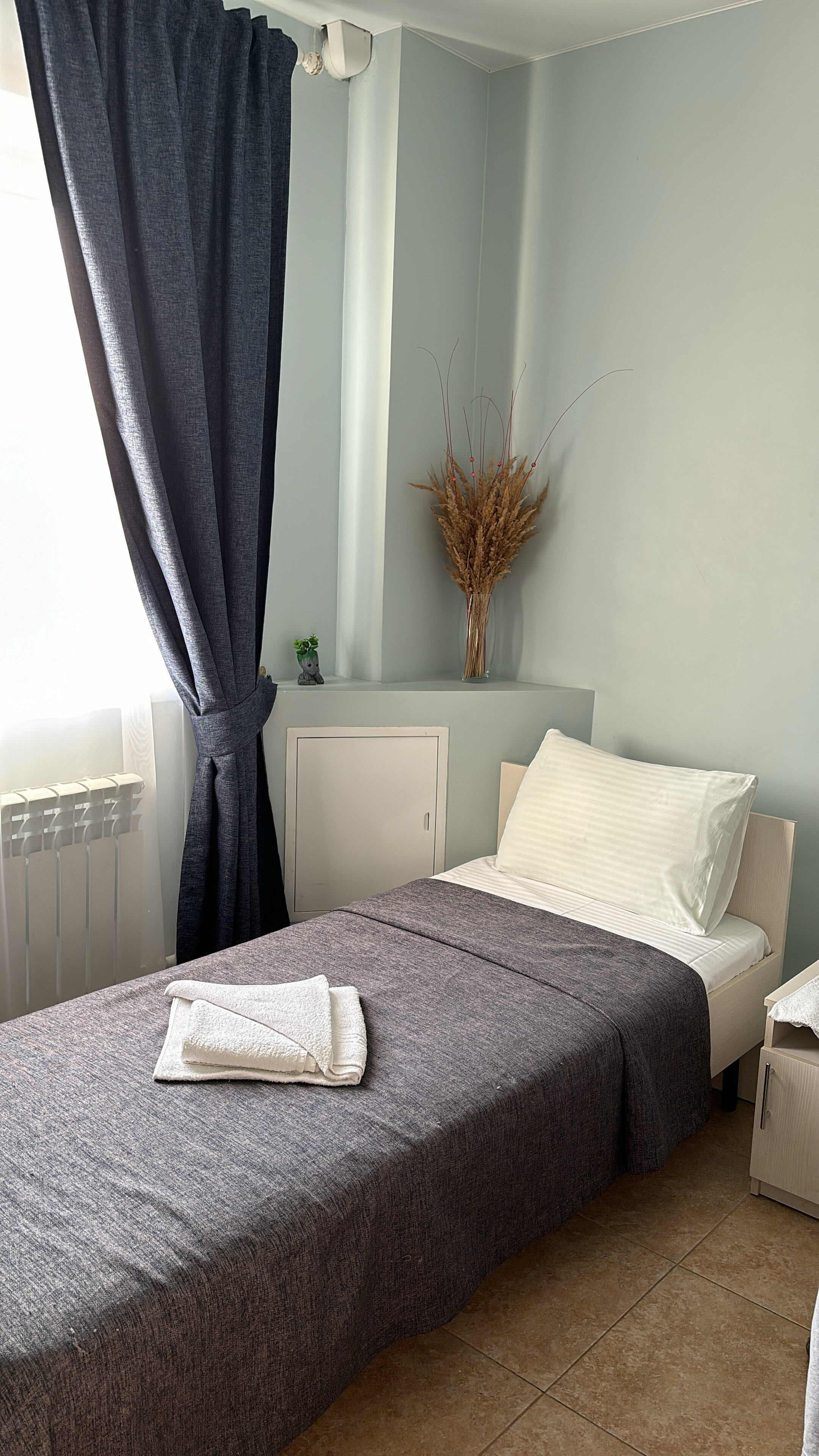 Фото Клевер