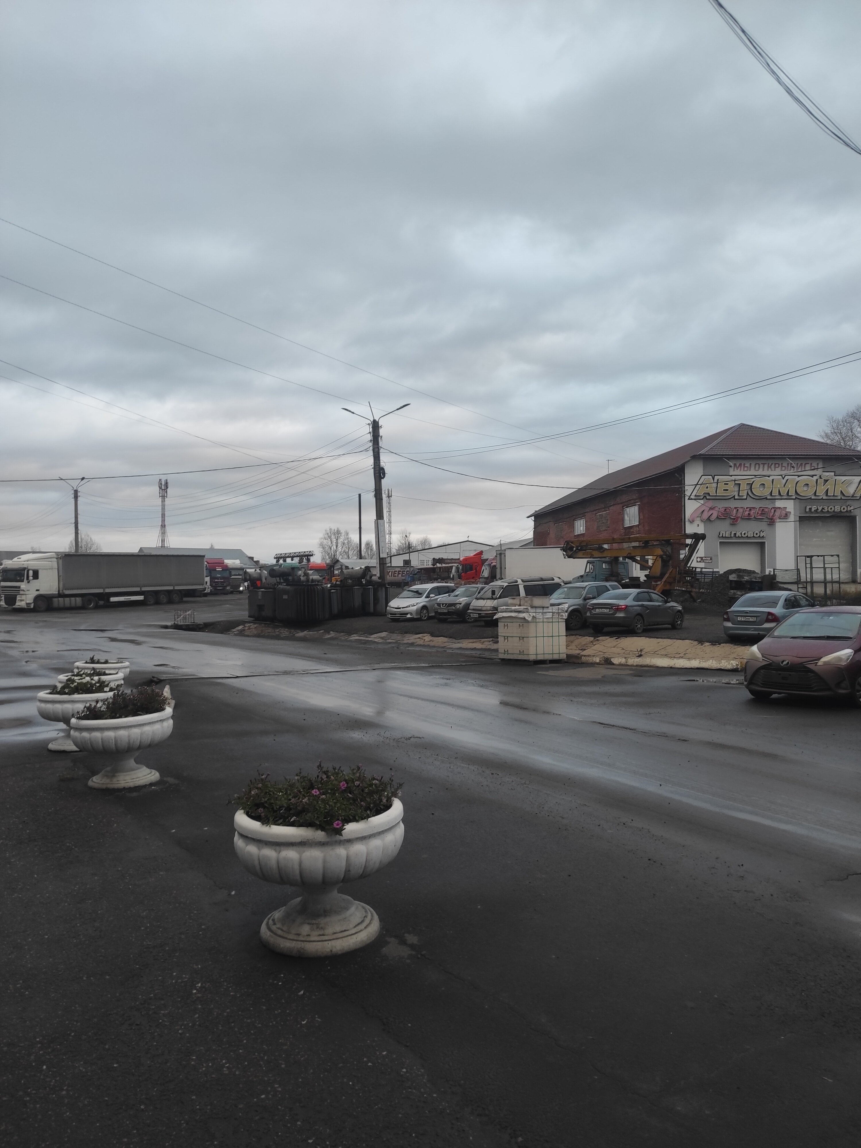 Фото Медведь